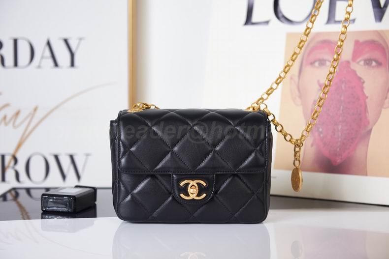 Chanel Handbags 529